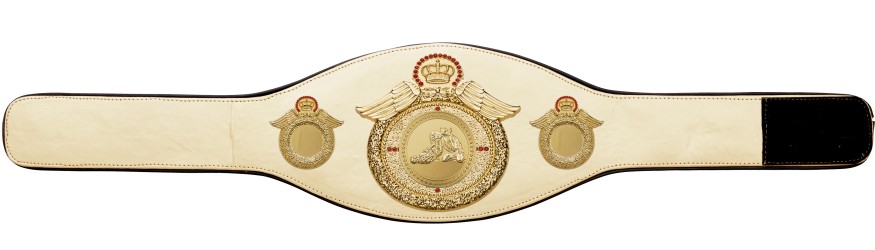 JIU JITSU CHAMPIONSHIP BELT-PROWING/G/JJG-6+ COLOURS